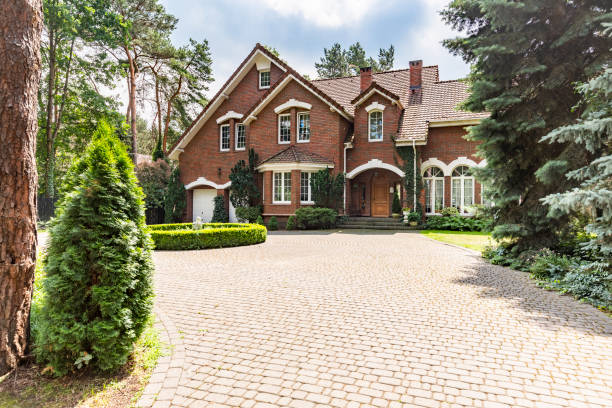 Best Driveway Pavers Near Me  in Palmhurst, TX