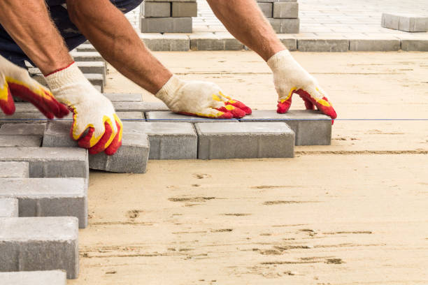 Best Driveway Pavers Near Me  in Palmhurst, TX