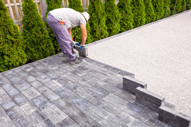 Best Residential Paver Driveway  in Palmhurst, TX