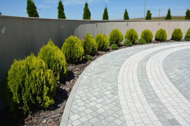 Reasons to Select Us for Your Driveway Paving Requirements in Palmhurst, TX