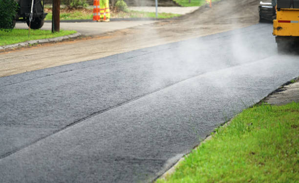 Best Custom Driveway Pavers  in Palmhurst, TX